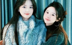 野花视频在线观看最新视频观看